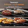 Гриль РЕДМОНД SteakMaster GM306, фото
