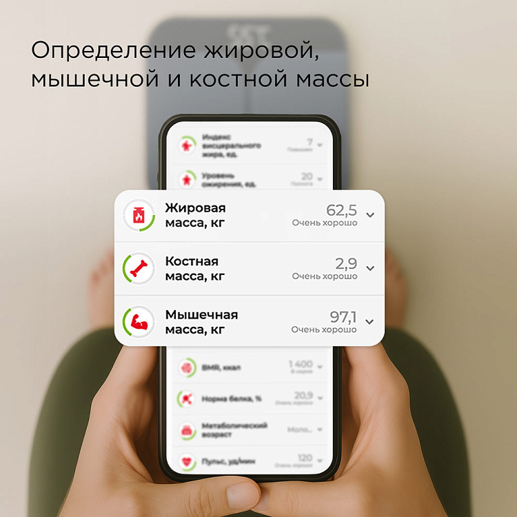 Умные напольные весы РЕДМОНД SB1812S (черный) - фото 4 - купить в интернет-магазине Редмонд